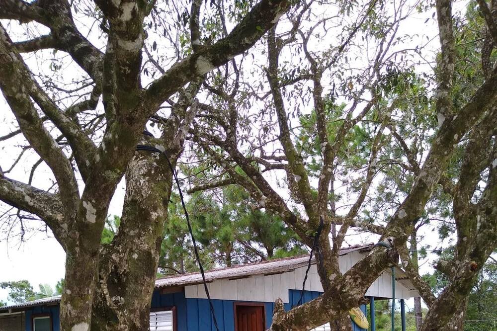 Photo of Outdoor in Ilha do Superagui