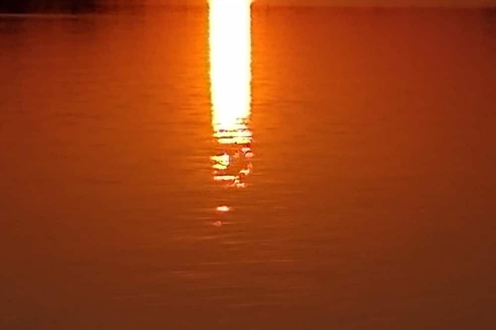 Photo of Others in Ilha do Superagui