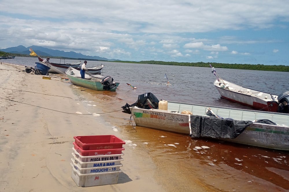 Photo of Others in Ilha do Superagui