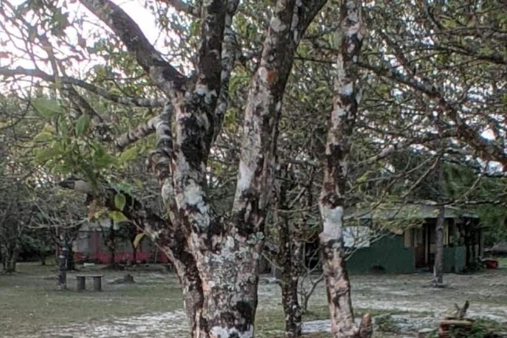 Photo of Outdoor in Ilha do Superagui