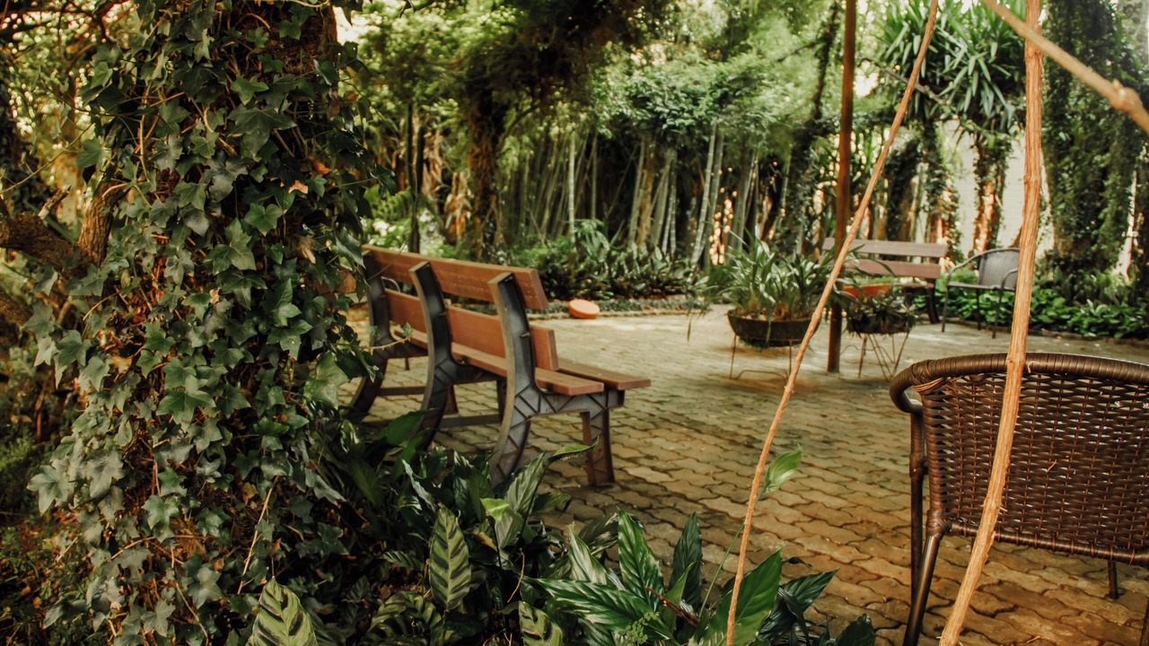 Photo of Outdoor in Guarapuava