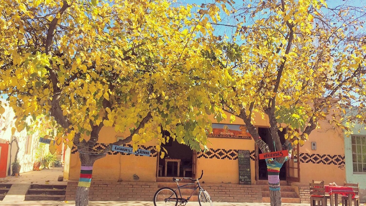 Photo of Outdoor in San Agustin de Valle Fertil