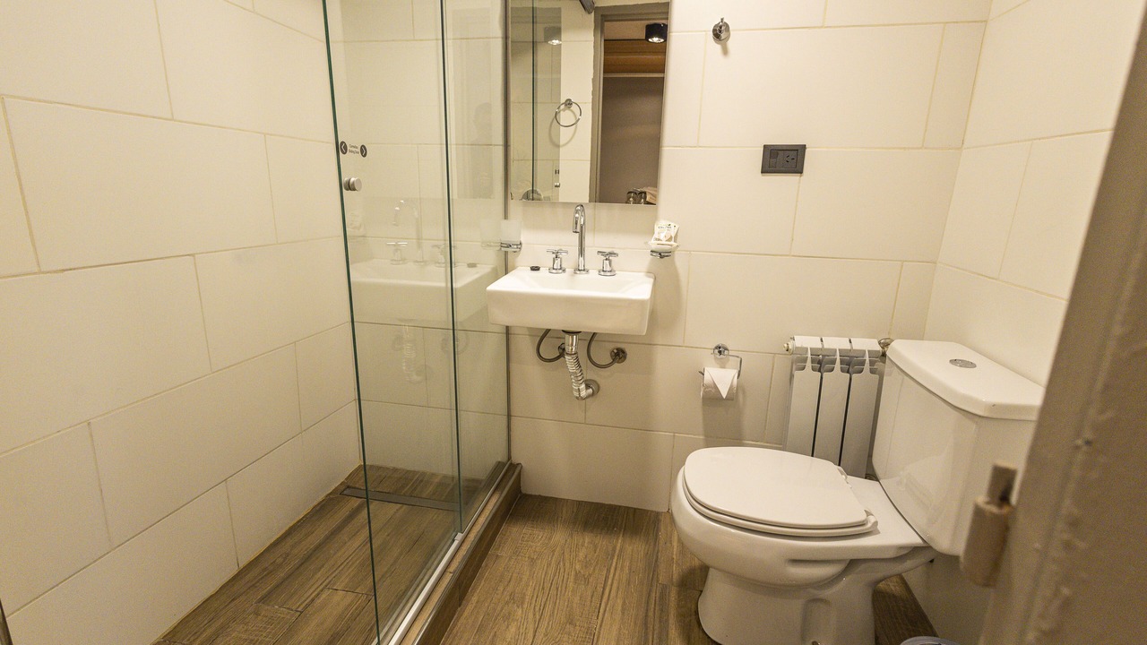 Photo of Bathroom in Centro