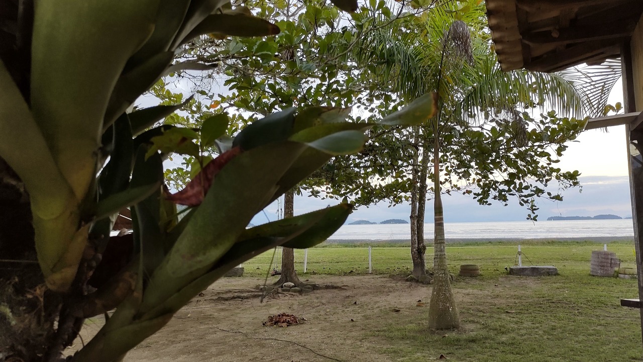 Photo of Bedroom in Jabaquara