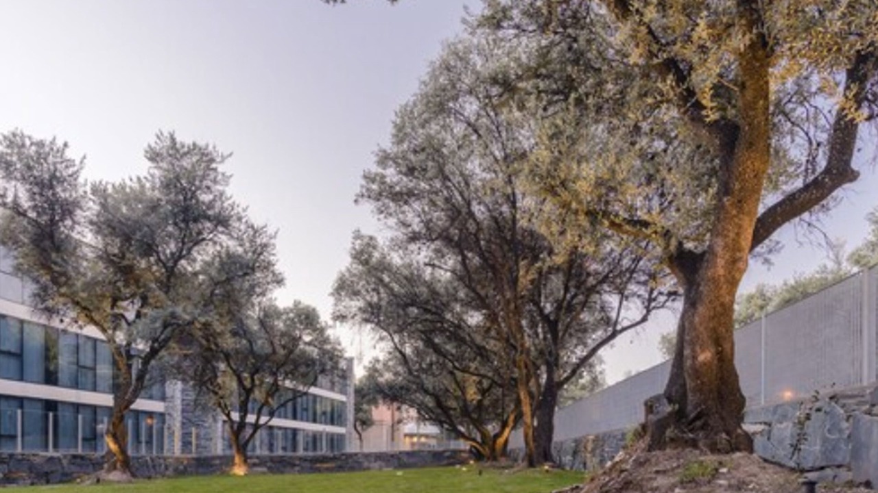 Photo of Outdoor in Merlo