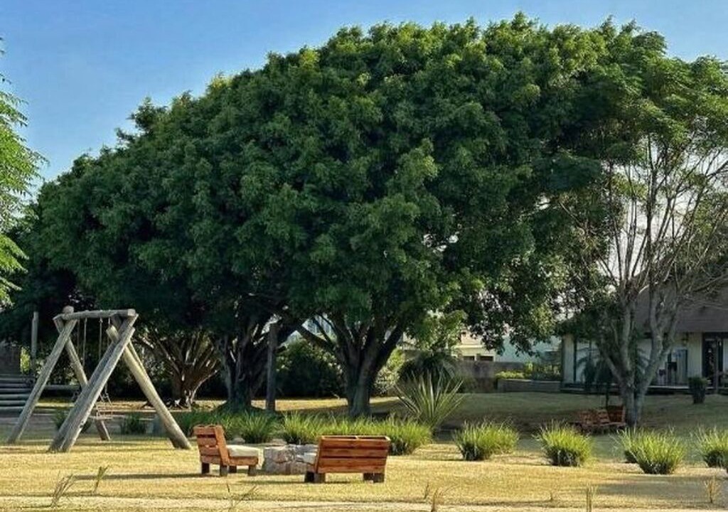 Photo of Outdoor in Tapes
