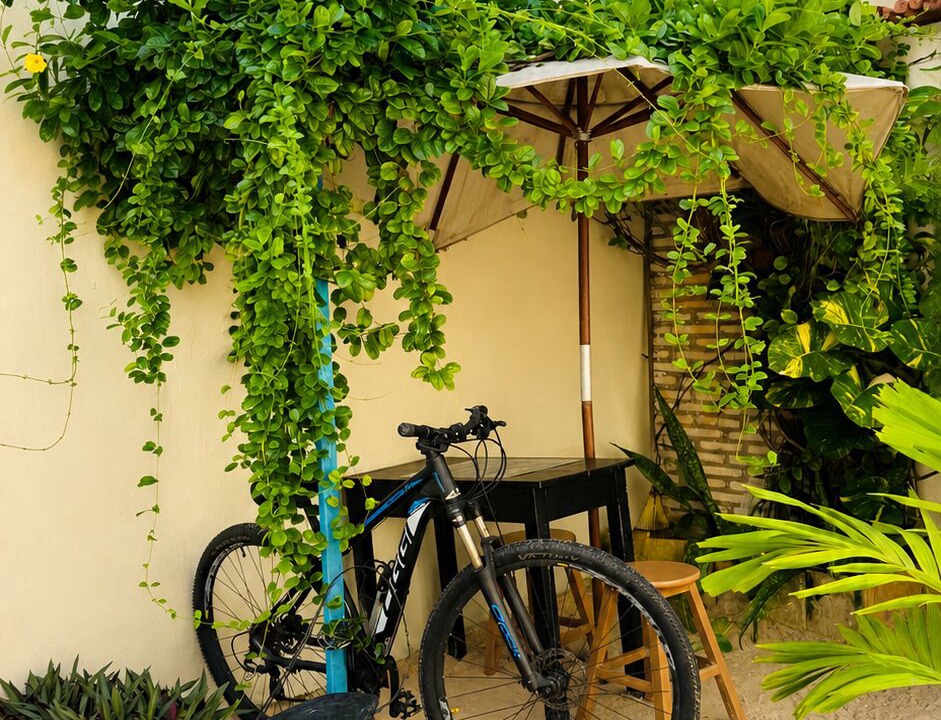 Photo of Outdoor in Caicara