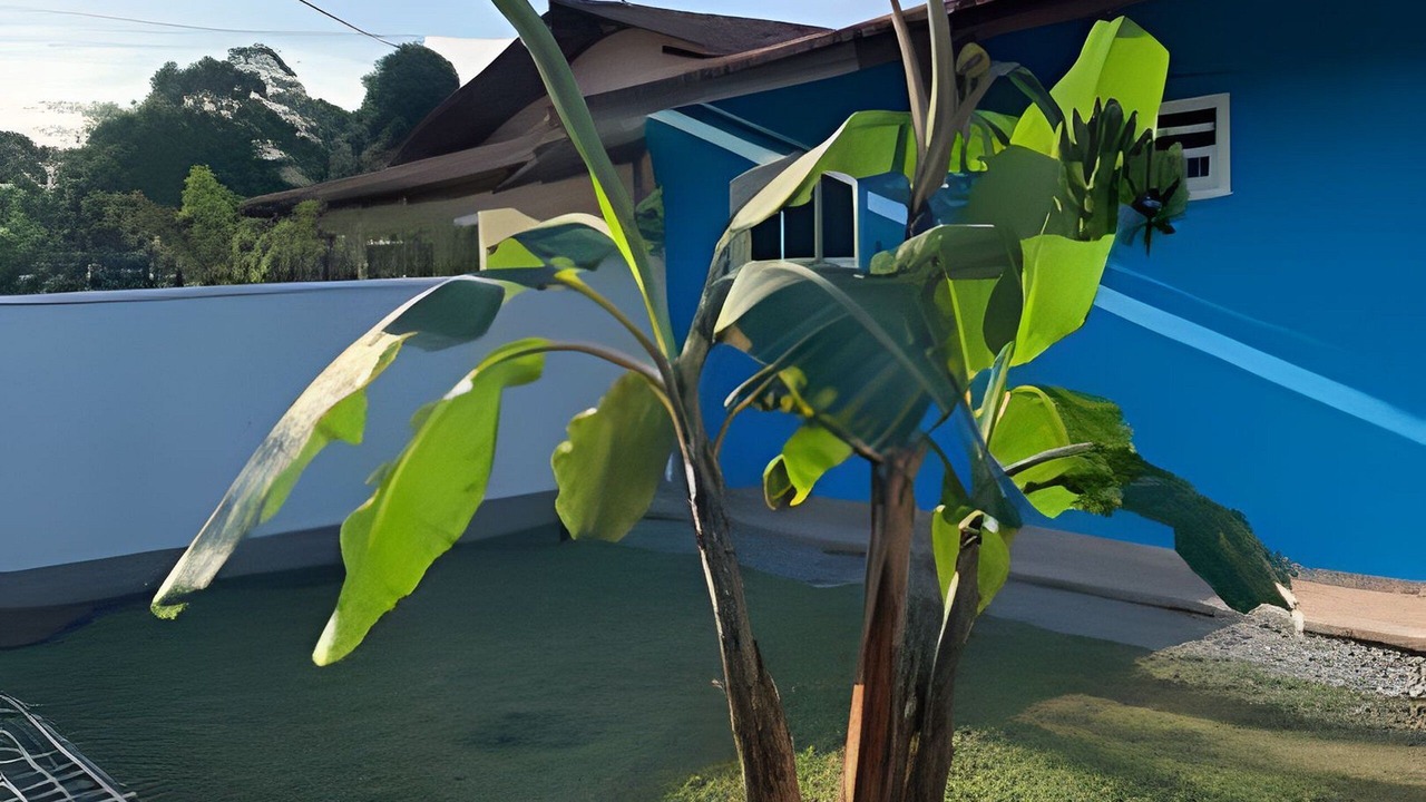 Photo of Outdoor in Sao Francisco do Sul