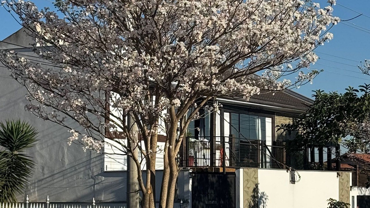 Photo of Outdoor in Lavras