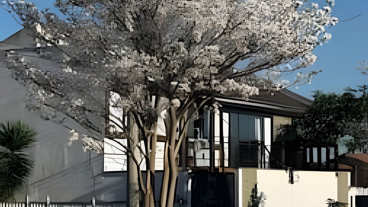 Photo of Outdoor in Lavras