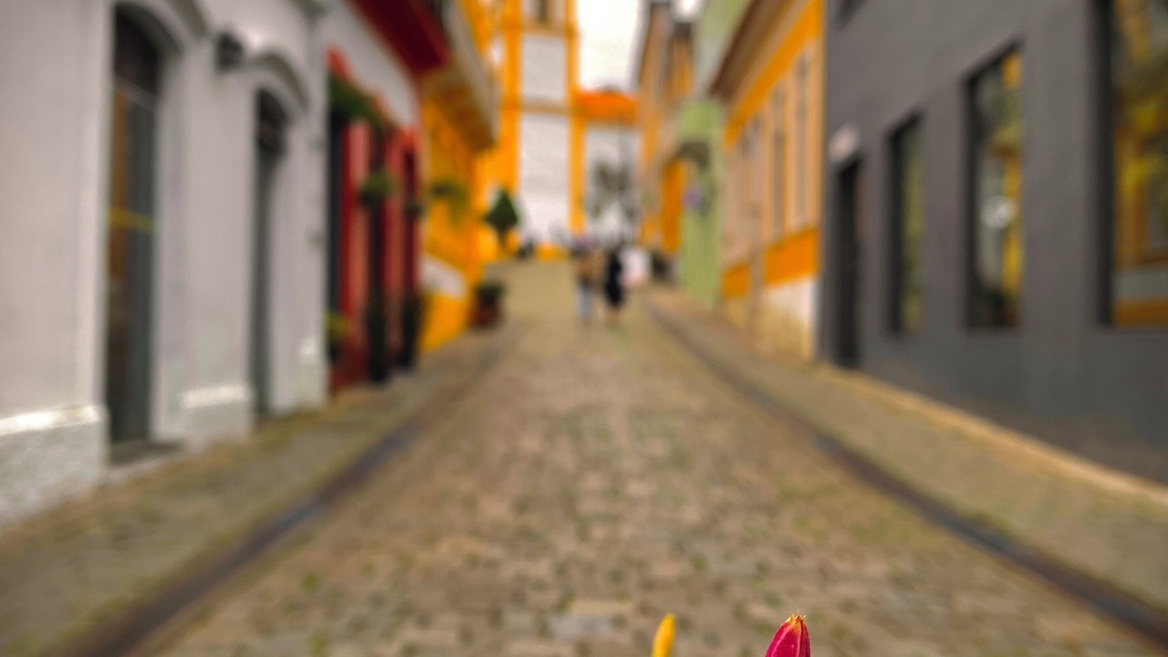 Photo of Others in Vila da Gloria