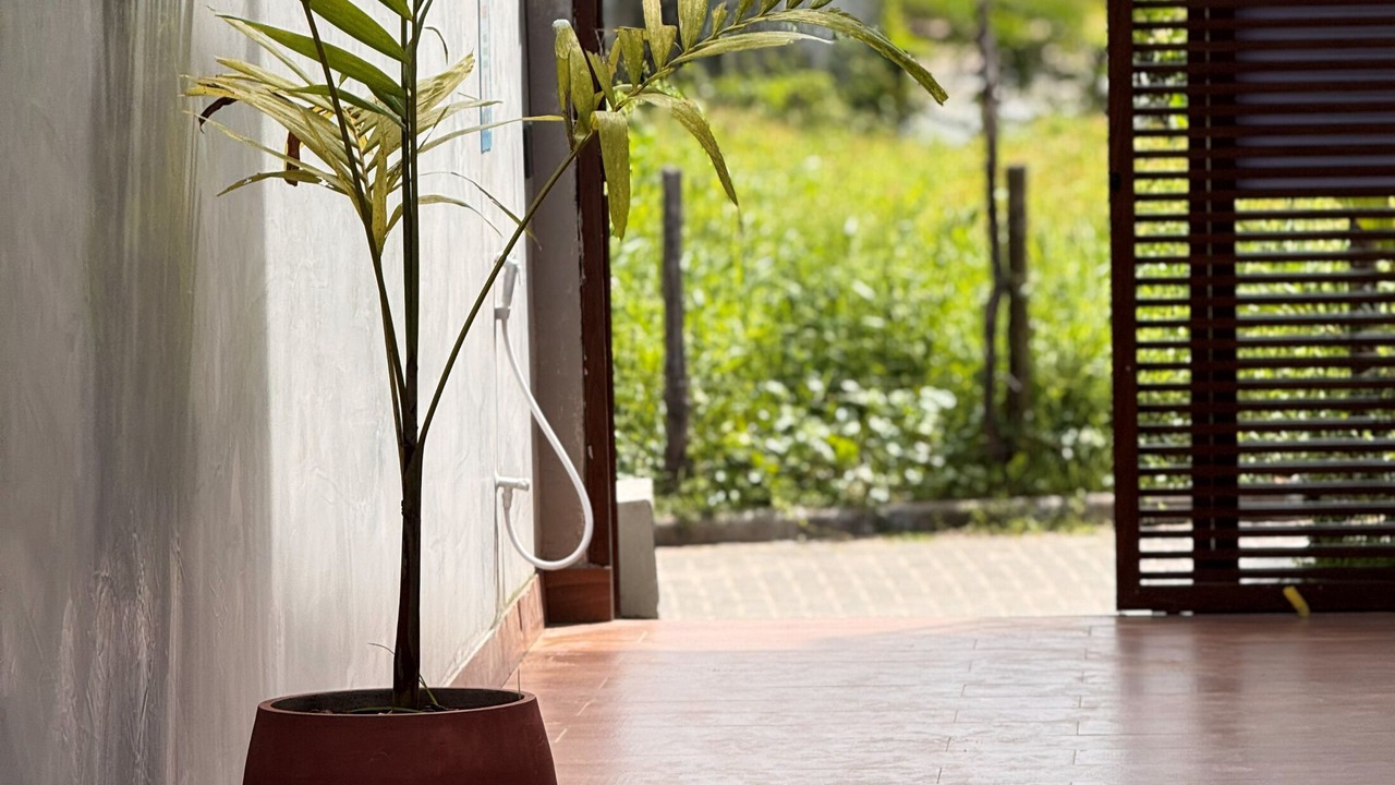 Photo of Outdoor in Velha Boipeba