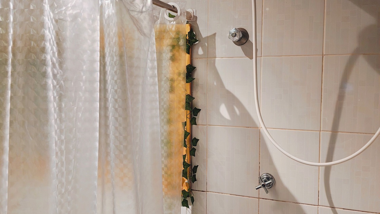Photo of Bathroom in Paraiso