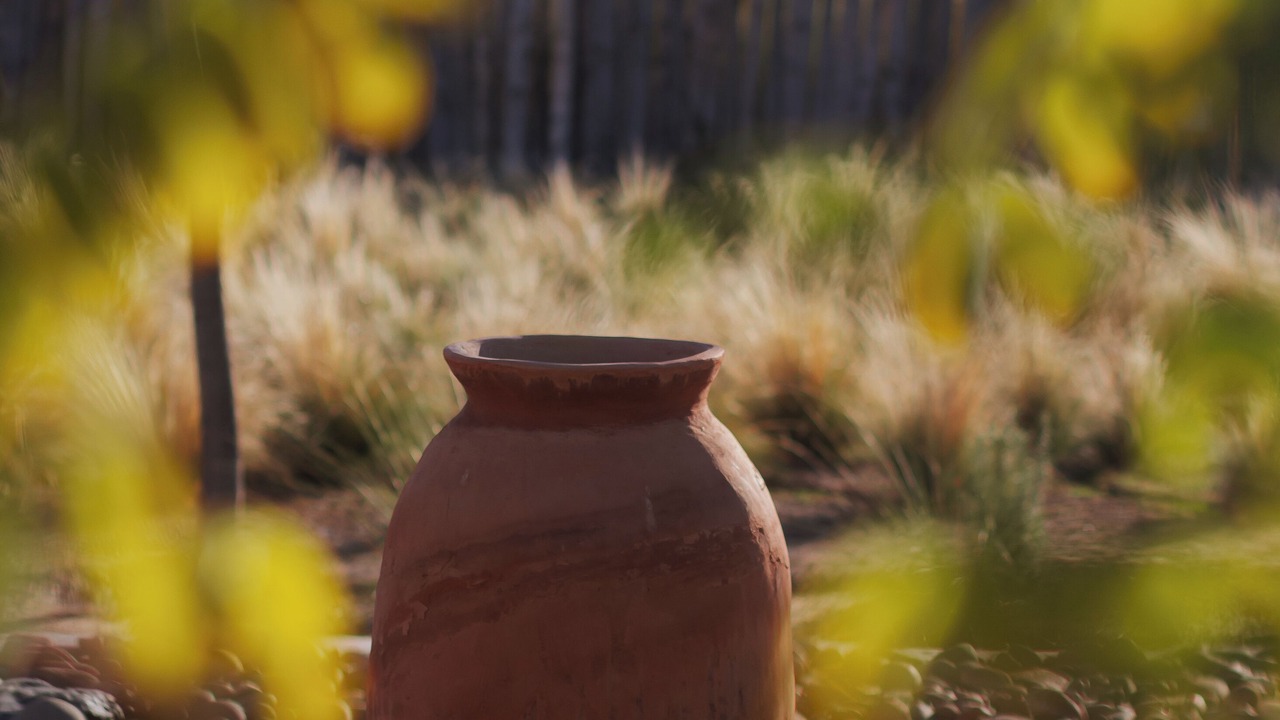 Photo of Outdoor in Maipu