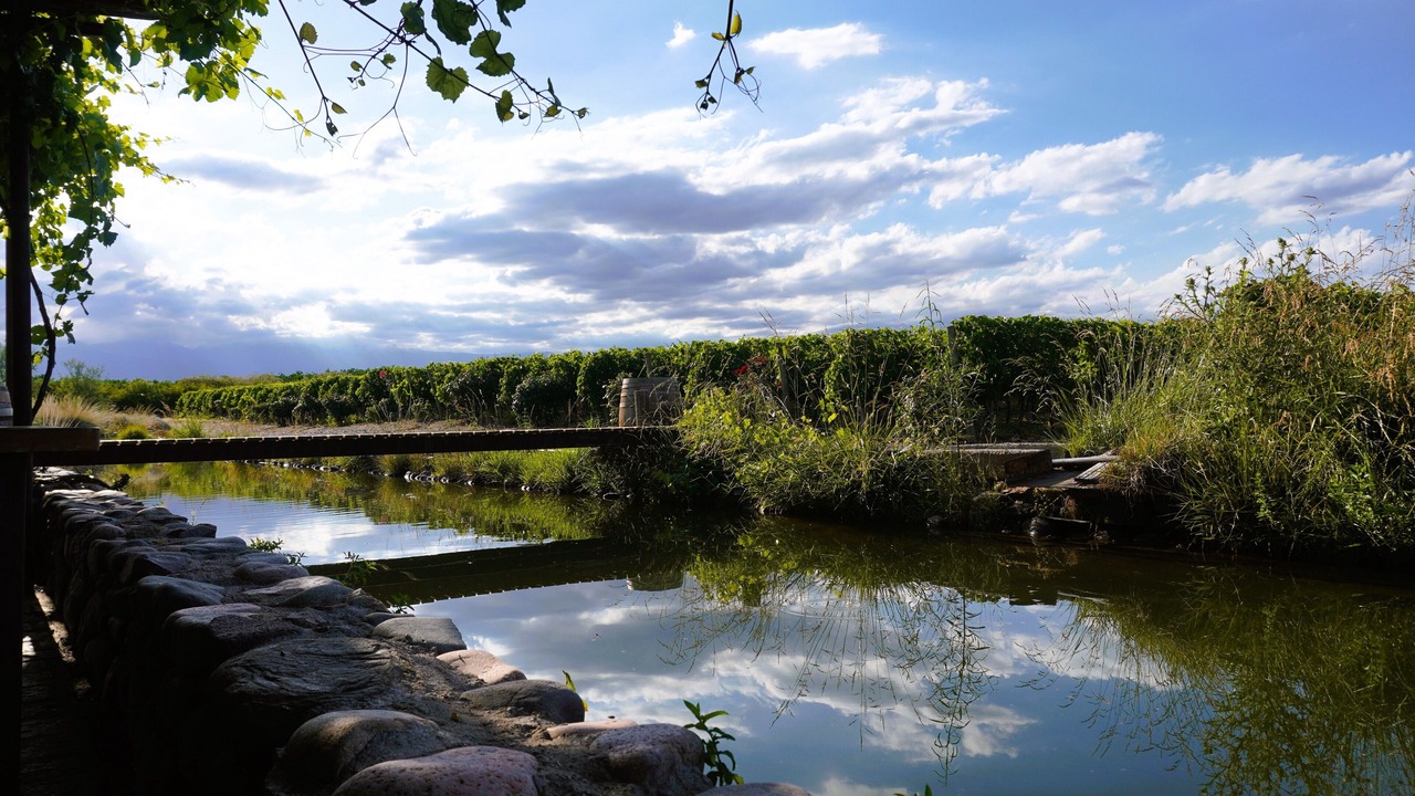 Photo of Outdoor in Tupungato