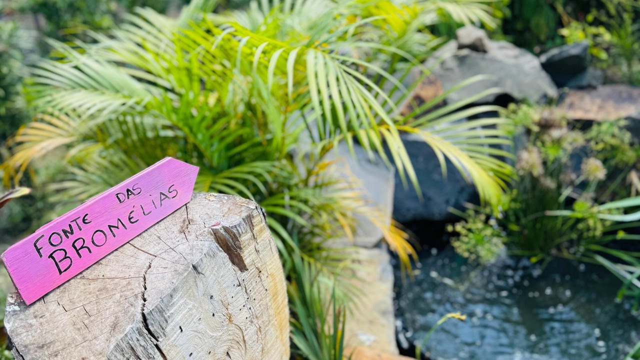 Photo of Outdoor in Triunfo