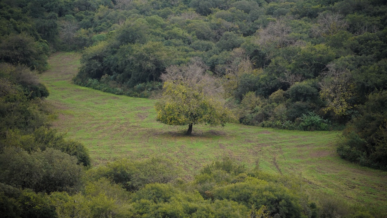 Photo of Outdoor in Rio Ceballos