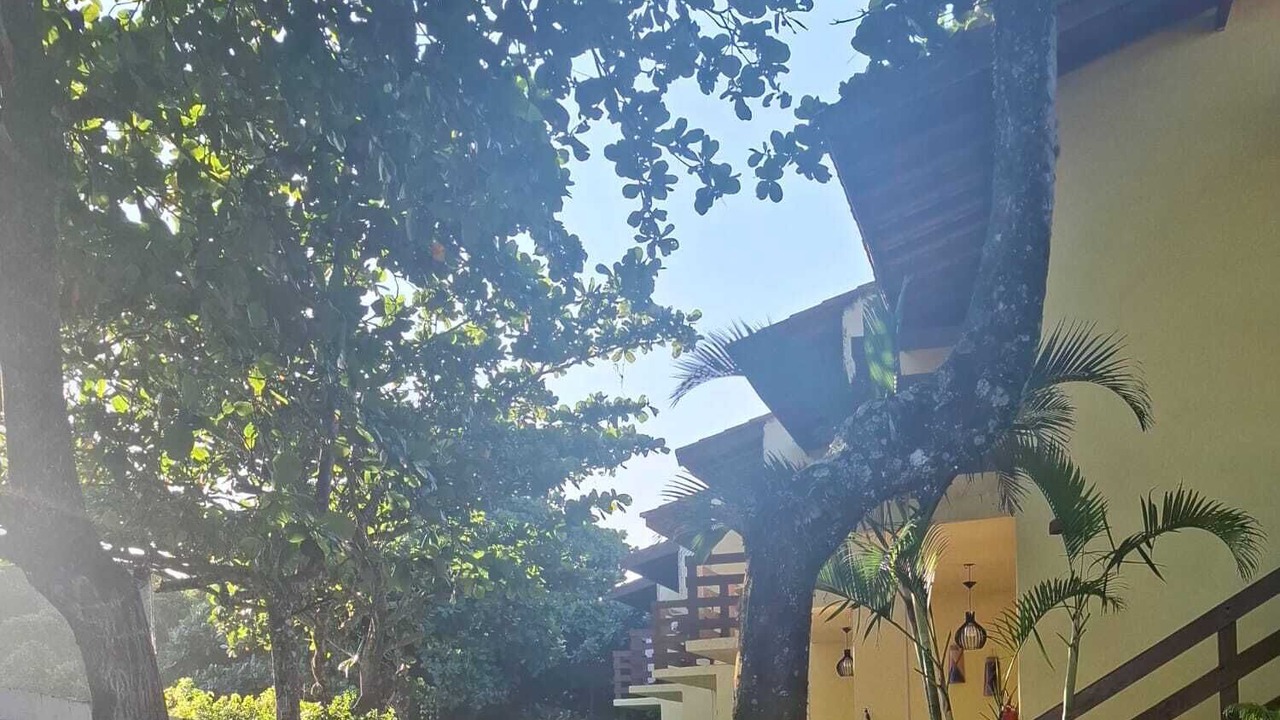 Photo of Outdoor in Santa Terezinha