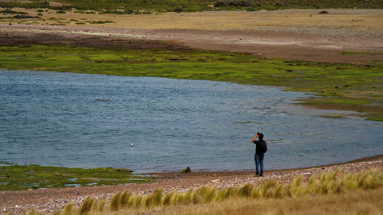 Photo of Outdoor in Bahia Bustamante