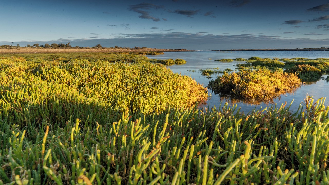 Photo of Outdoor in Bahia Bustamante