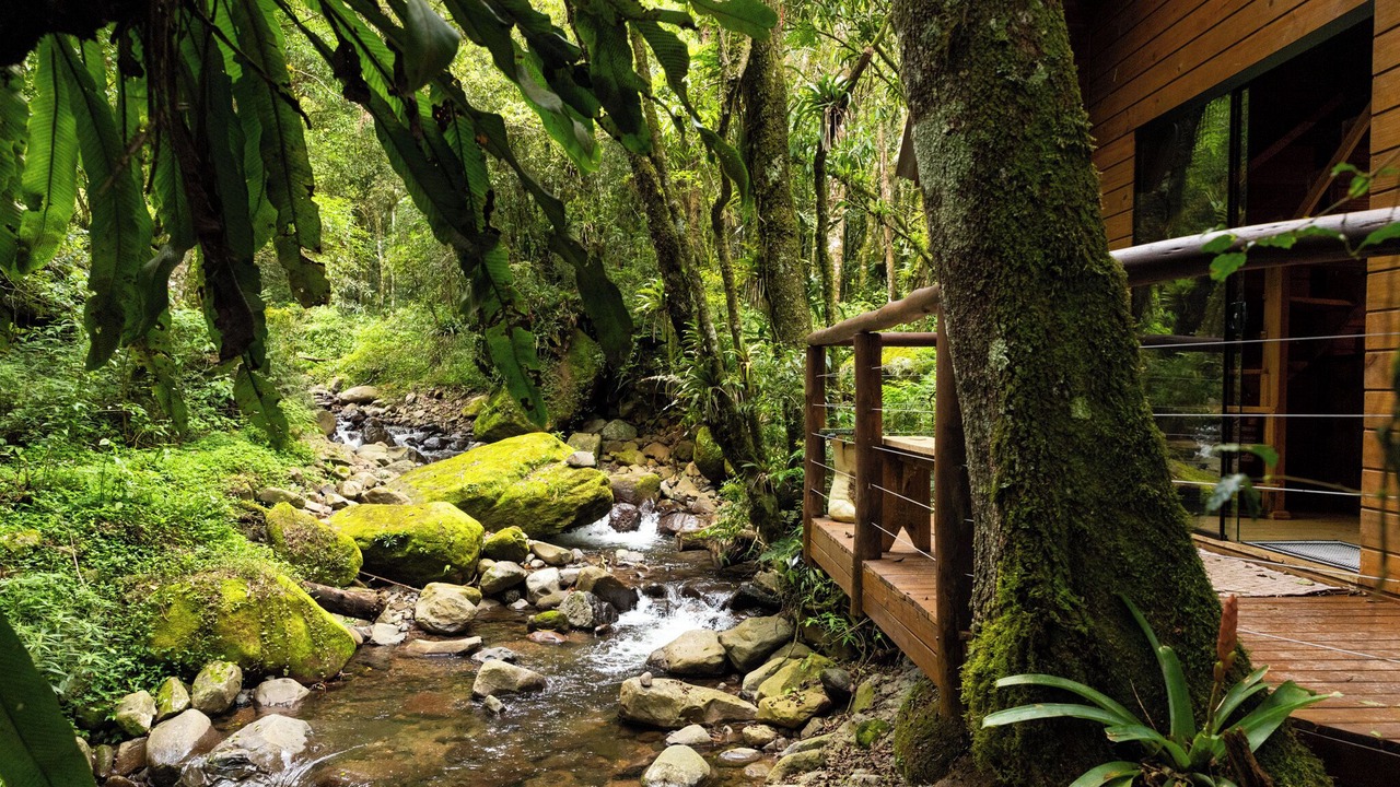 Photo of Outdoor in Alfredo Wagner
