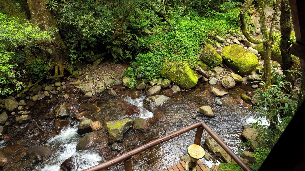 Photo of Outdoor in Alfredo Wagner