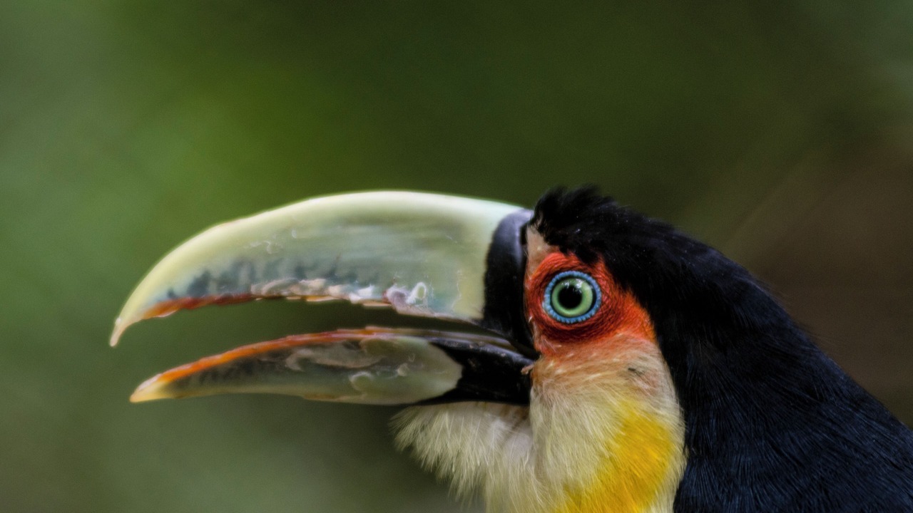 Photo of Outdoor in Puerto Iguazu