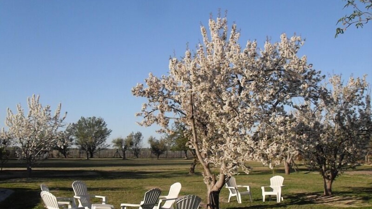 Photo of Outdoor in Vistalba