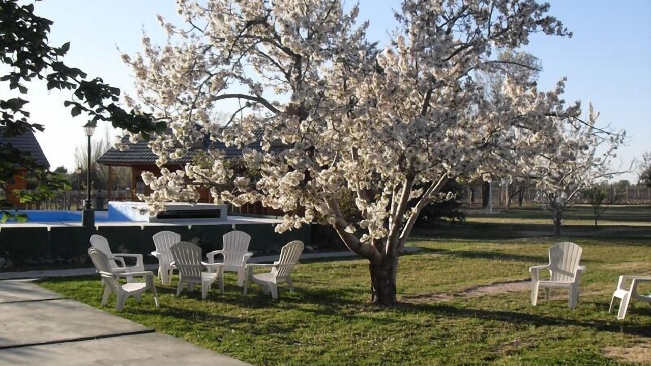 Photo of Outdoor in Vistalba