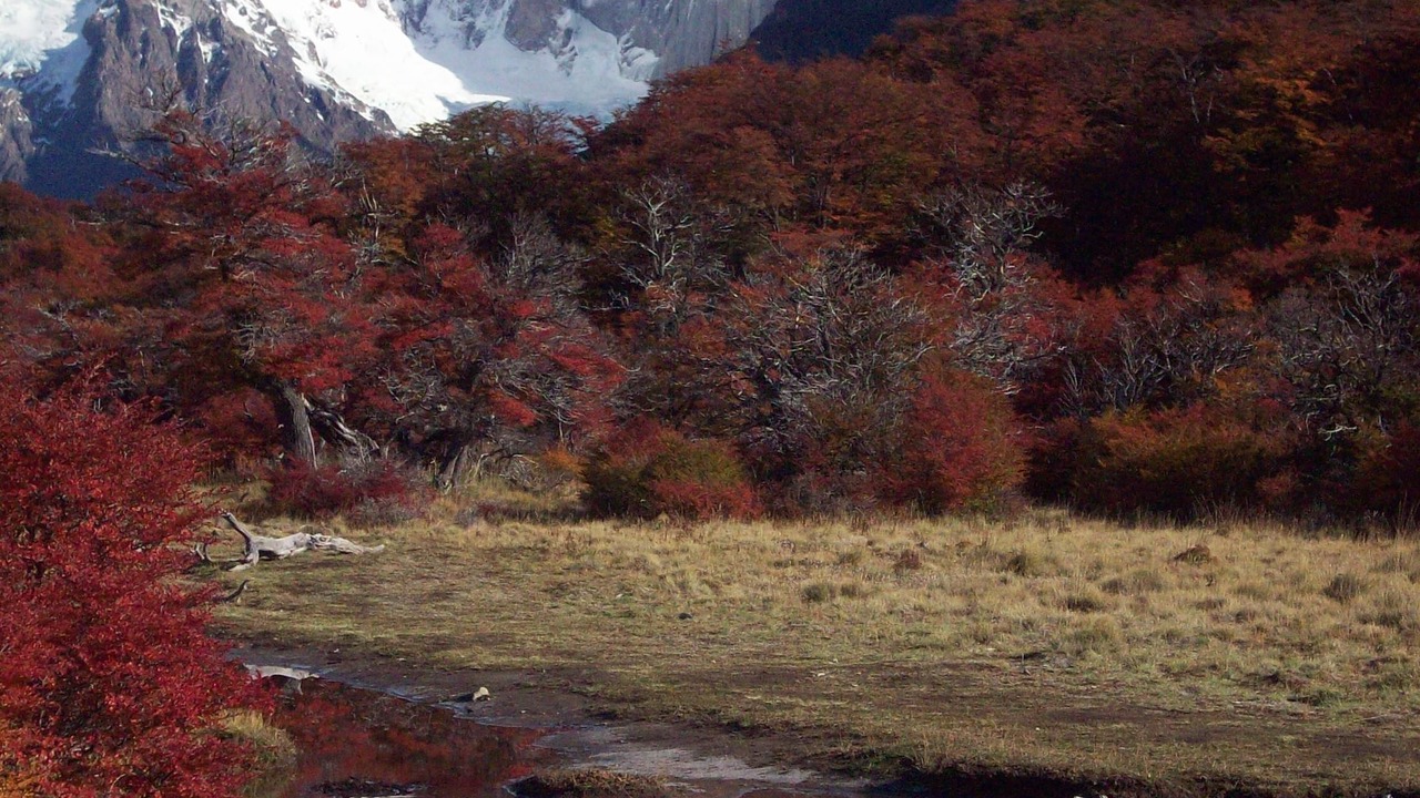 Photo of Outdoor in El Chalten