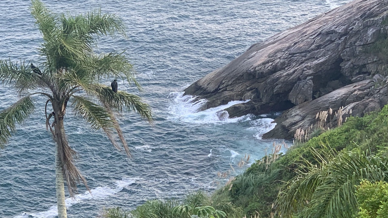 Photo of Others in Enseada