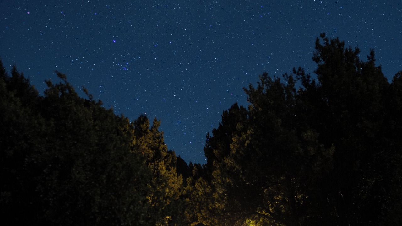Photo of Outdoor in Meliquina