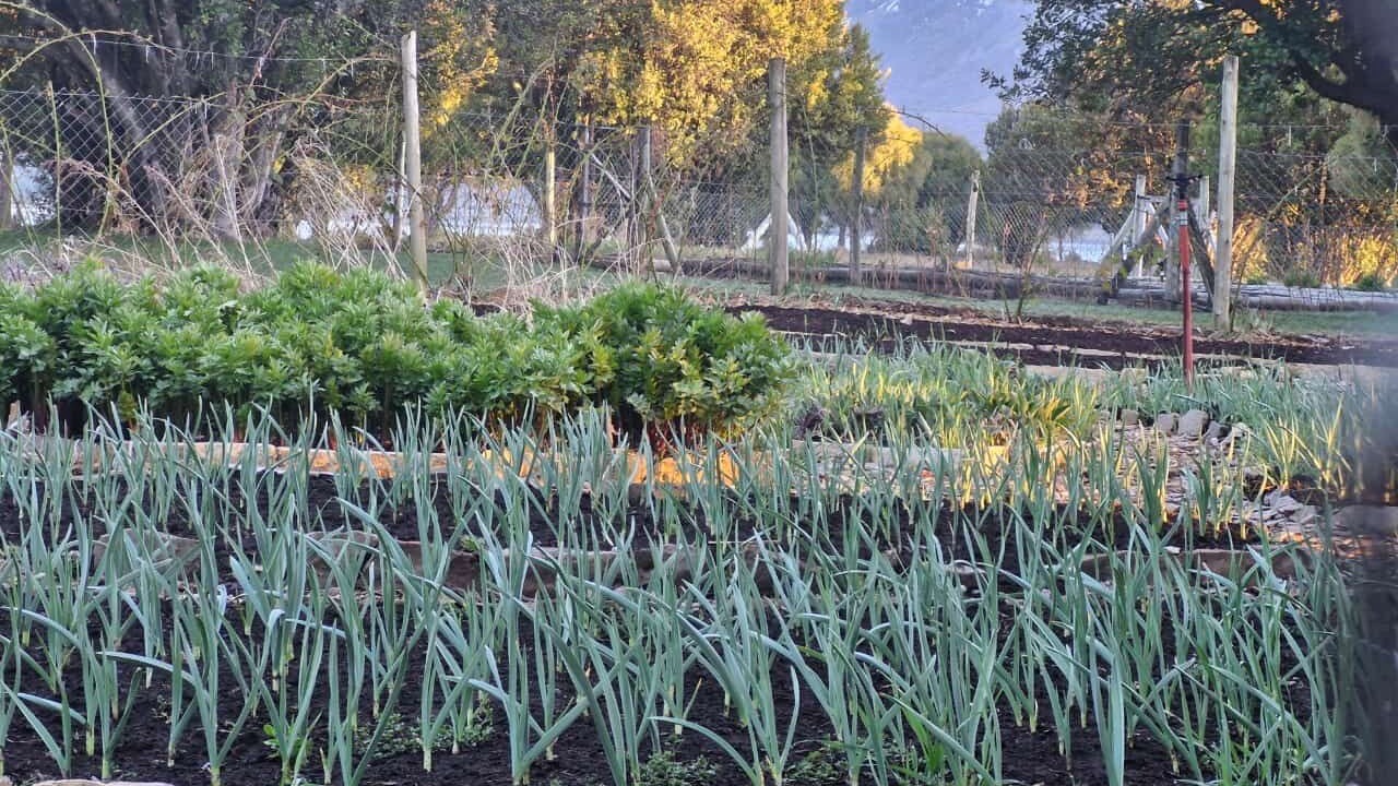 Photo of Outdoor in Meliquina