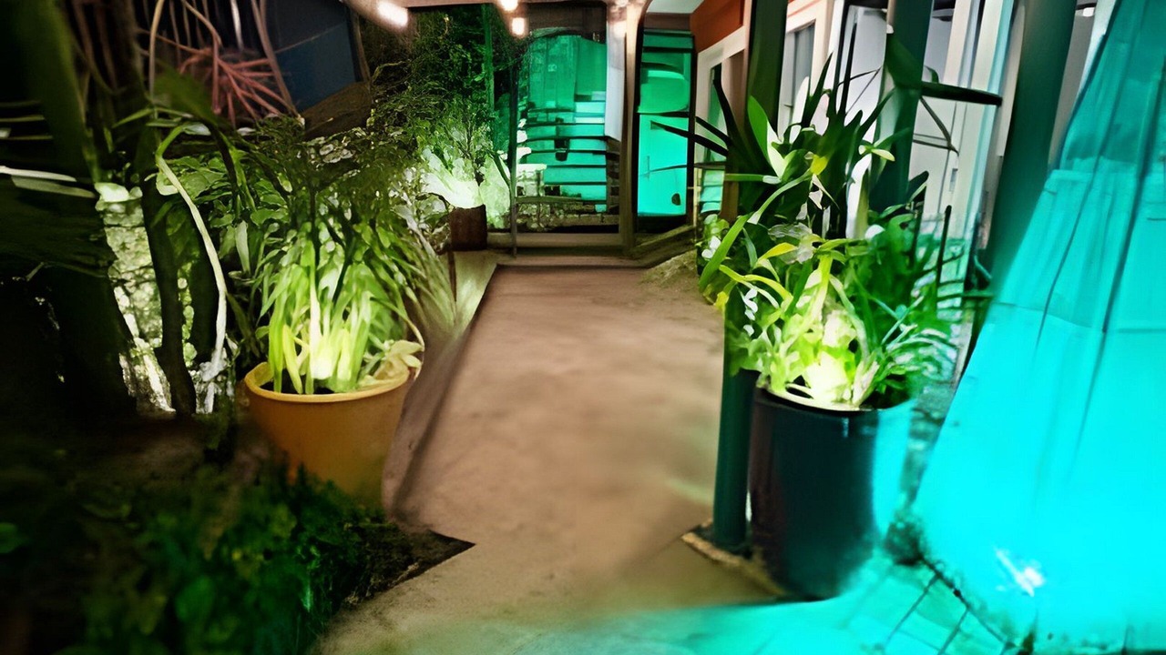 Photo of Outdoor in Jurere