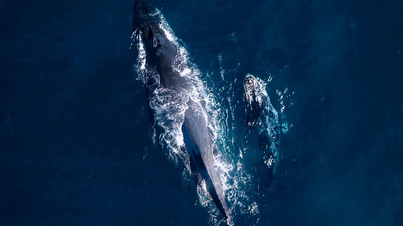 Photo of Others in Vila Esperanca
