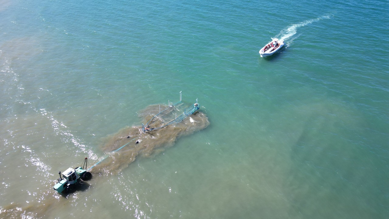 Photo of Others in Puerto Piramides