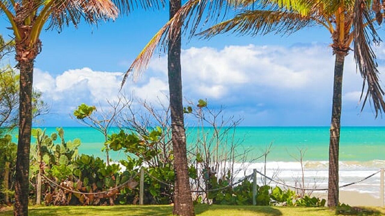 Photo of Others in Porto de Galinhas