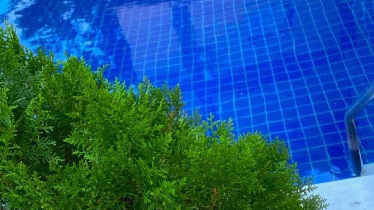 Photo of Outdoor in Tamandare