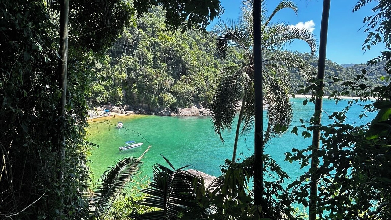 Photo of Others in Trindade