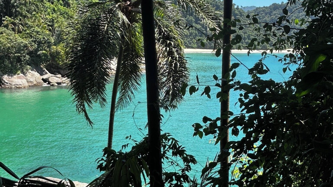 Photo of Others in Trindade