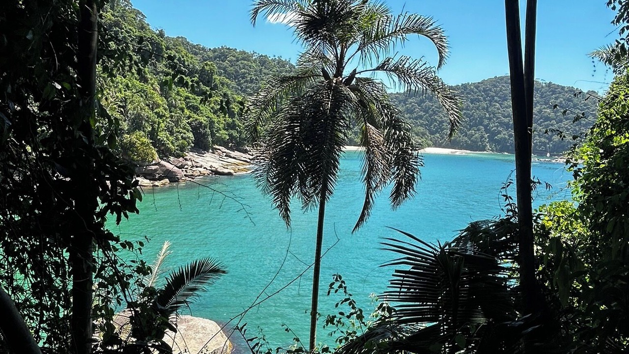 Photo of Others in Trindade