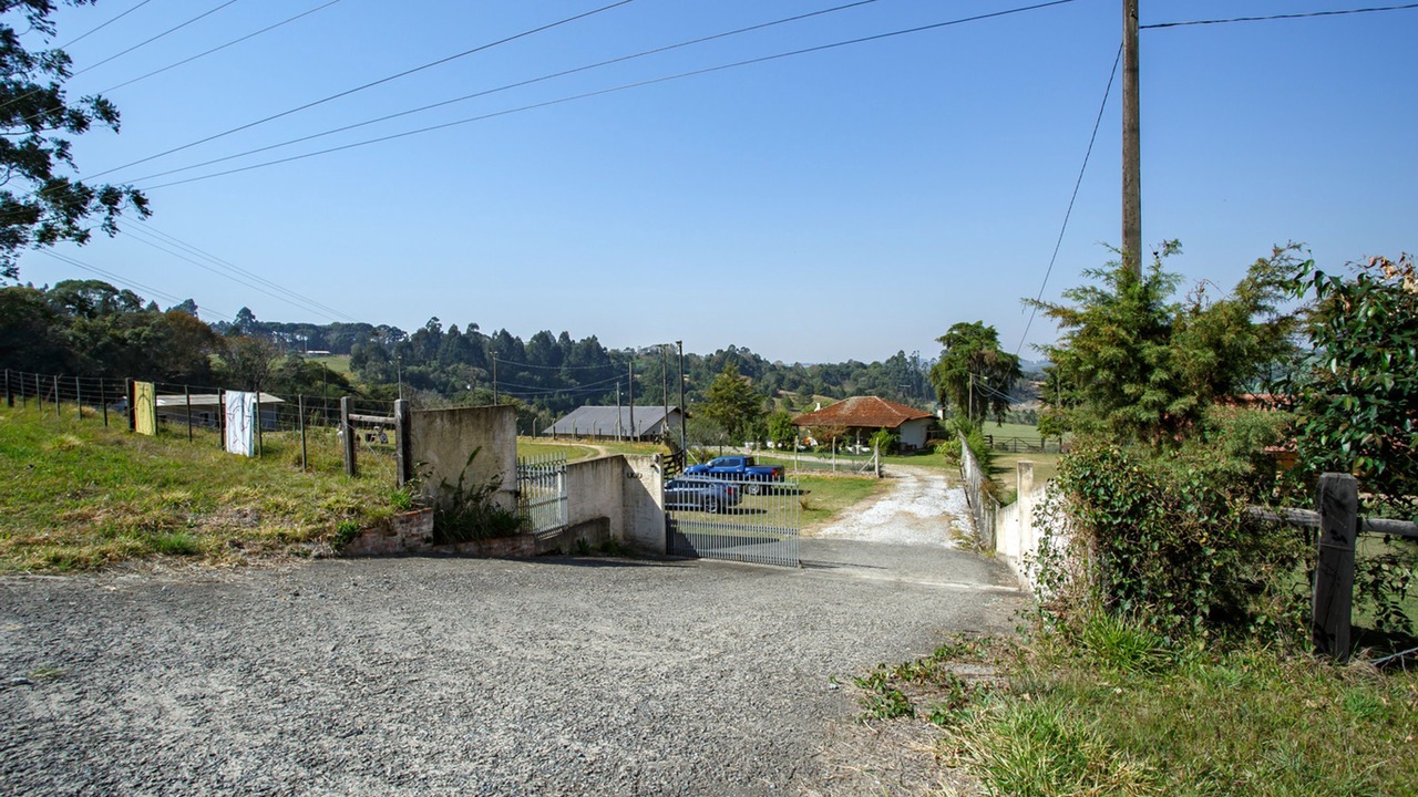 Photo of Others in Palmeira