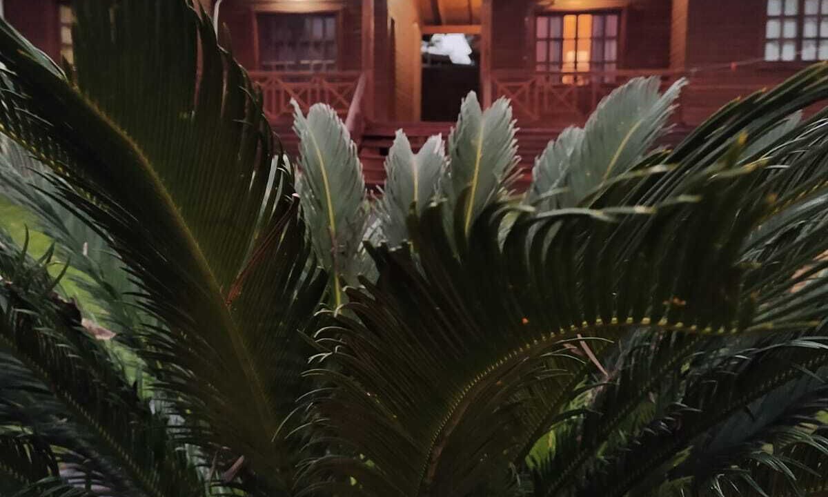 Photo of Outdoor in Zona Granja