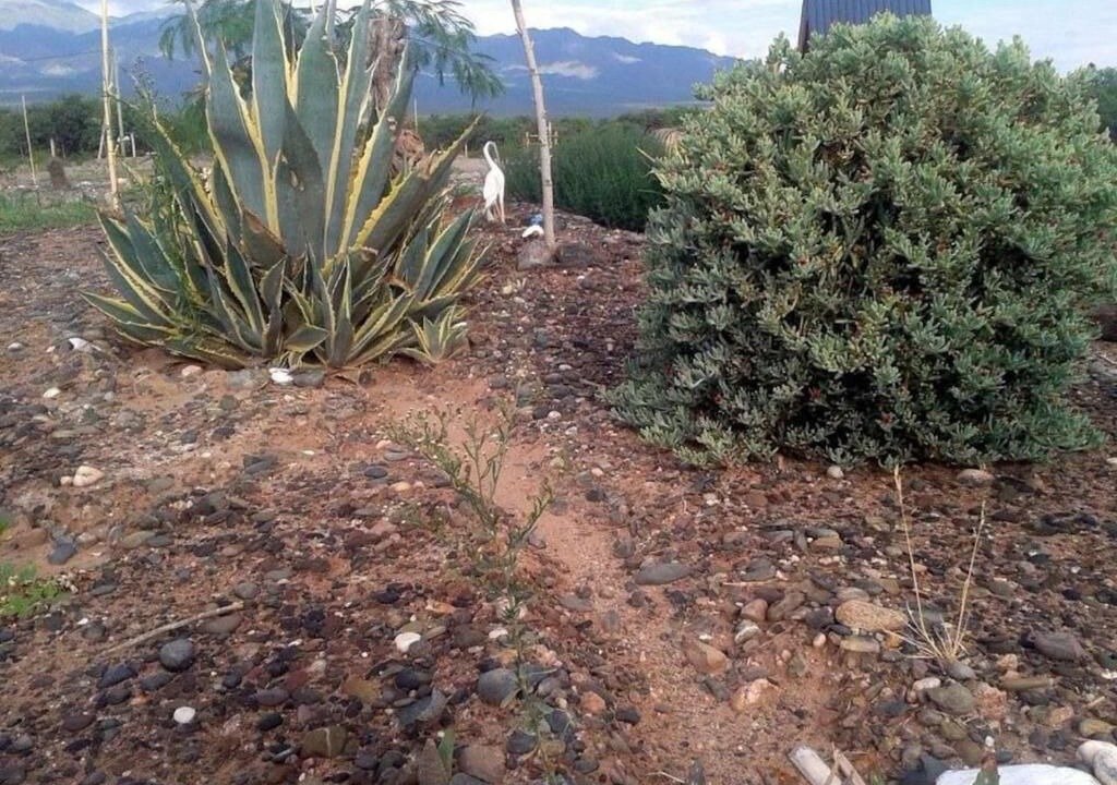 Photo of Outdoor in Animana