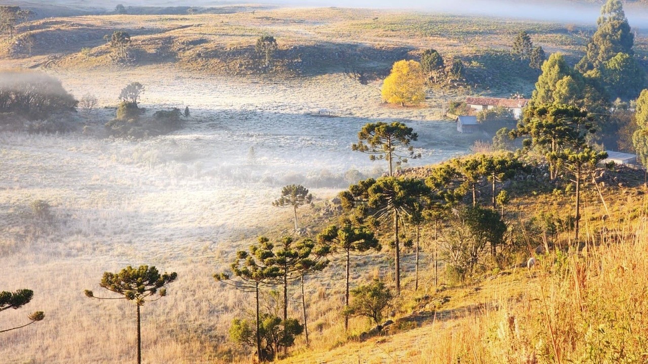 Photo of Others in Angelina