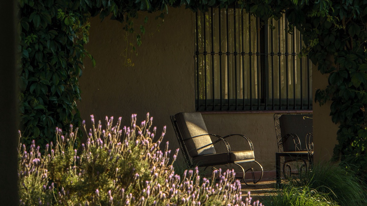 Photo of Outdoor in Maipu