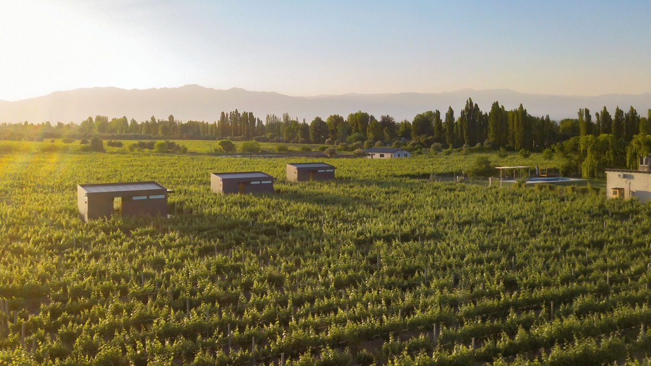 Photo of Outdoor in Maipu