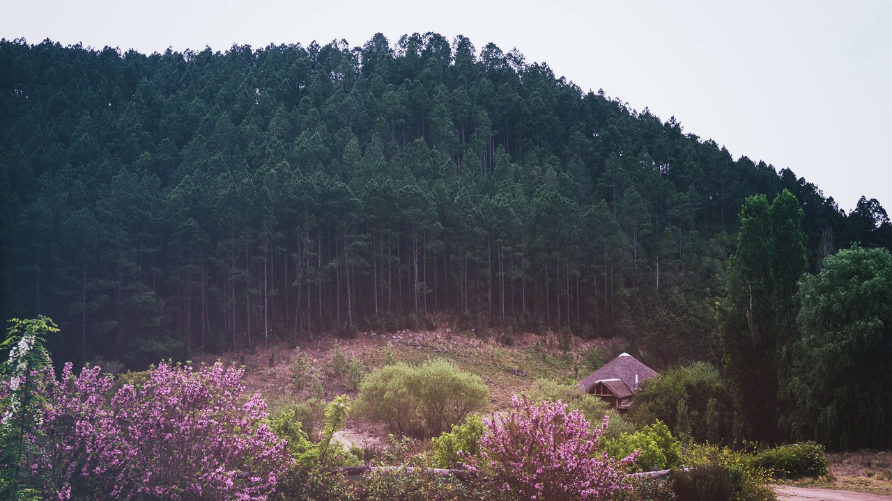 Photo of Outdoor in Villa Yacanto