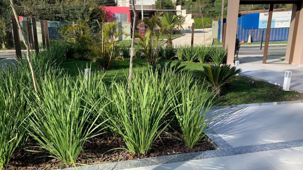 Photo of Outdoor in Mossungue
