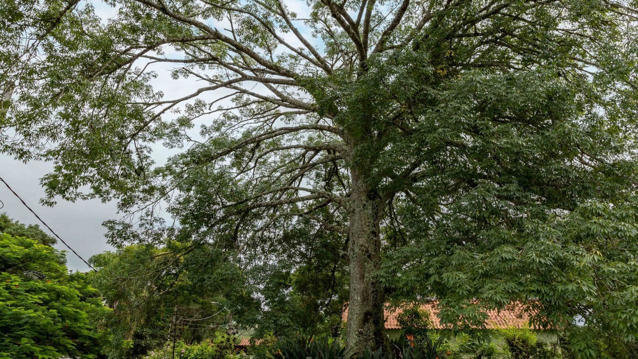 Photo of Others in Jardim Sulacap
